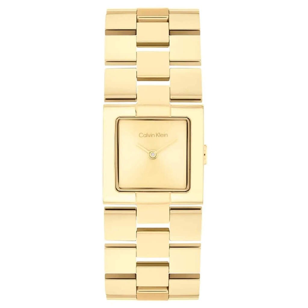 CALVIN KLEIN CK25100089 Quartz KADIN / KIZ KOL SAATİ