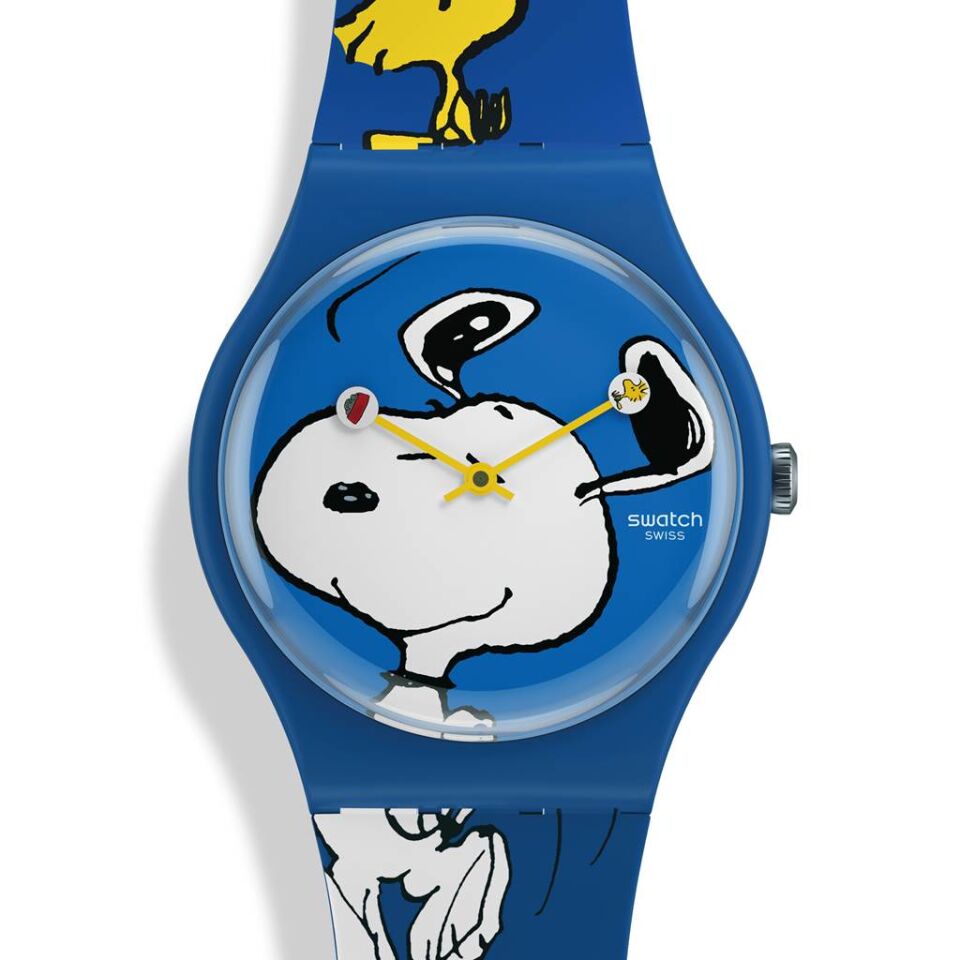 SwatchSO29Z106Unisex Pilli Kol Saati