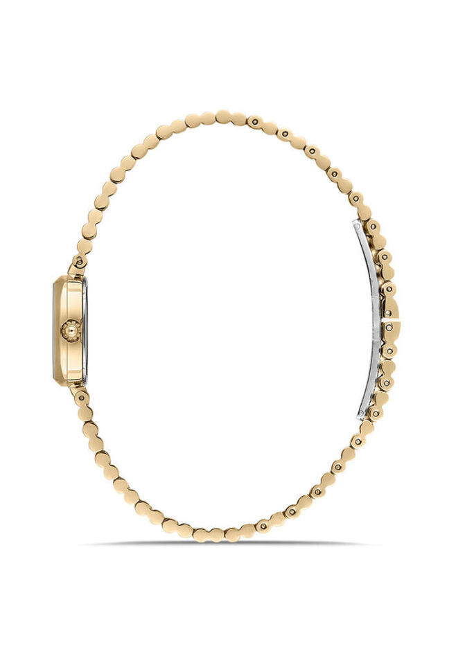 MomentusCW317G-02SGErkek Quartz (Pilli) Kol Saati