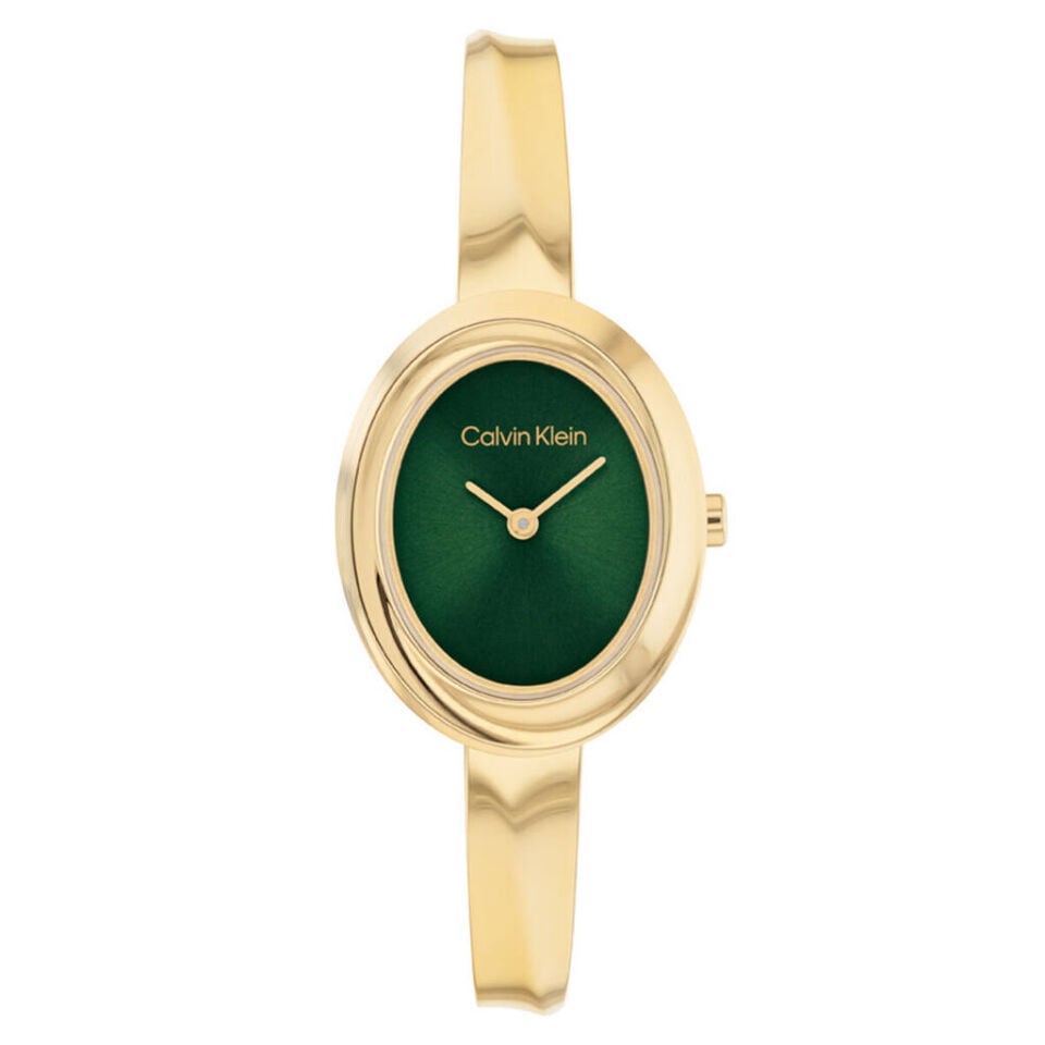 CALVIN KLEIN CK25100203 Kol Saati