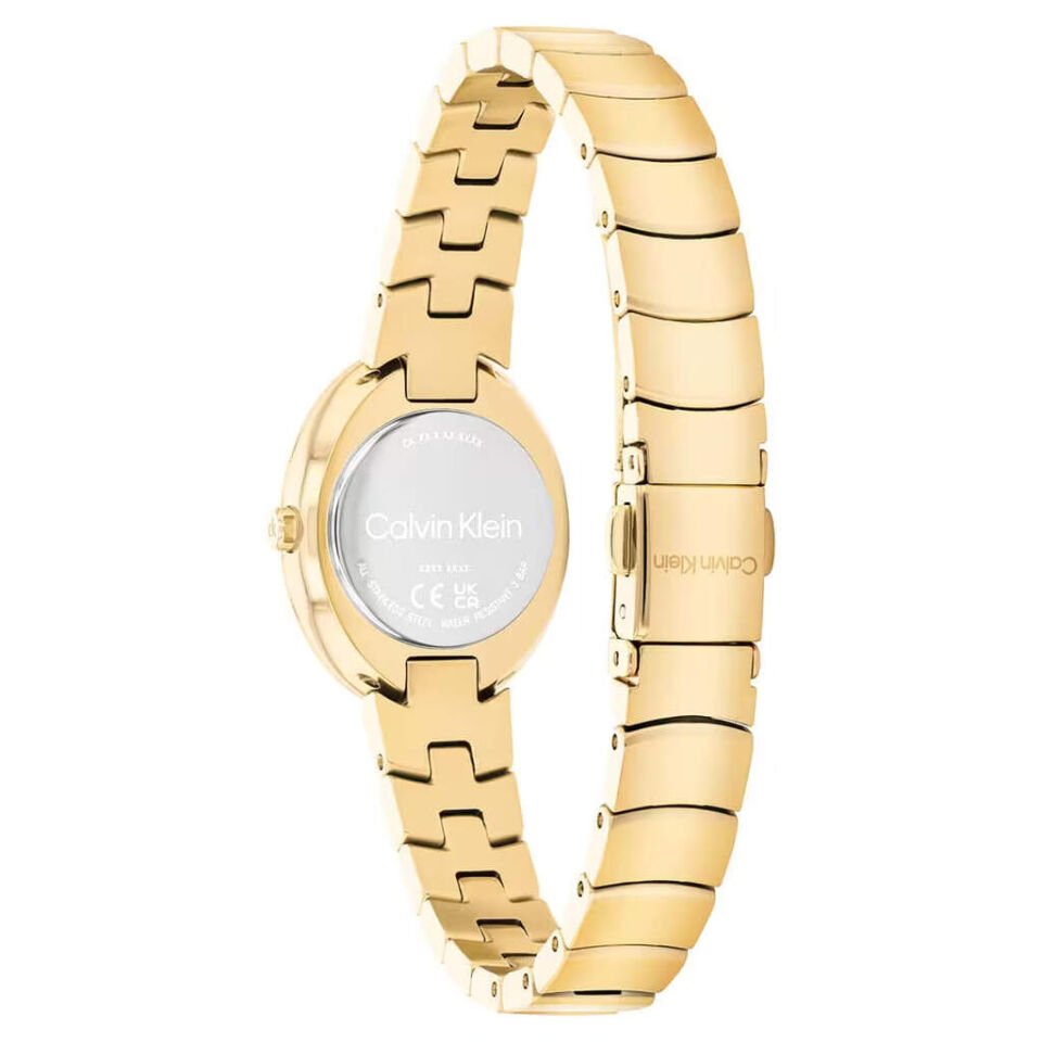 CALVIN KLEIN CK25100147 Quartz KADIN / KIZ KOL SAATİ