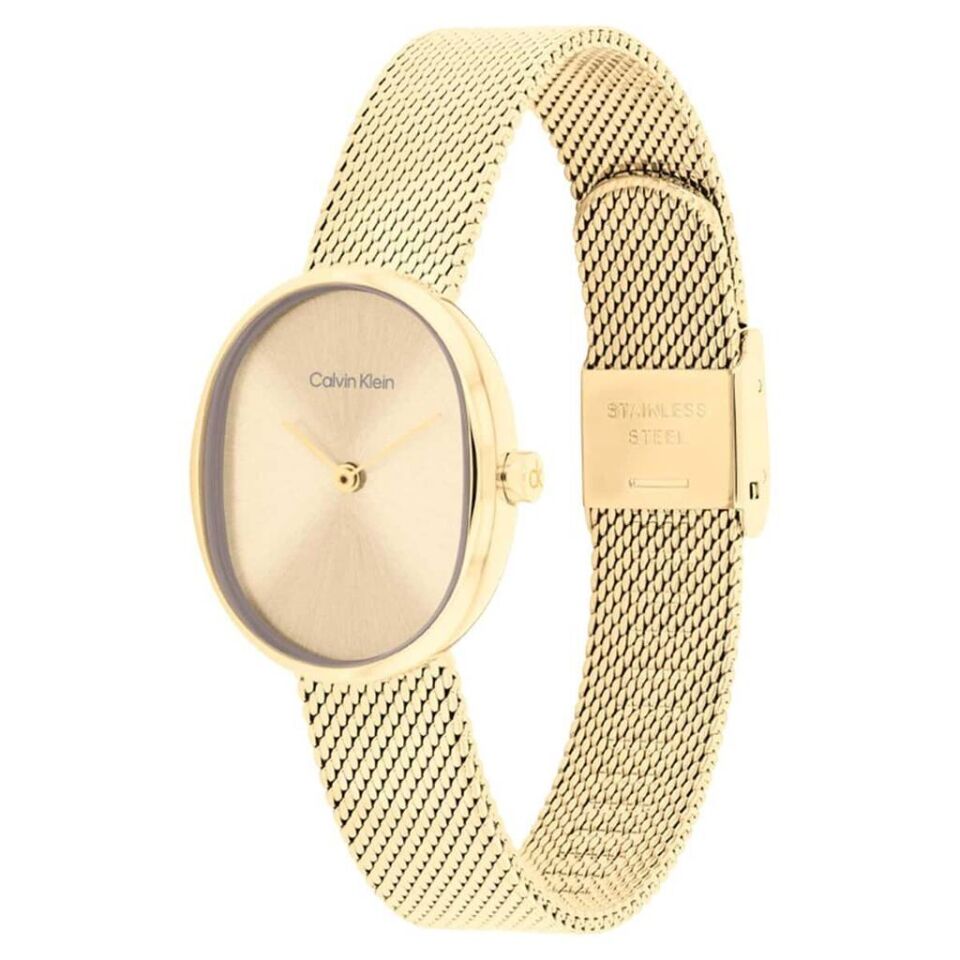 CALVIN KLEIN CK25100174 Quartz KADIN / KIZ KOL SAATİ