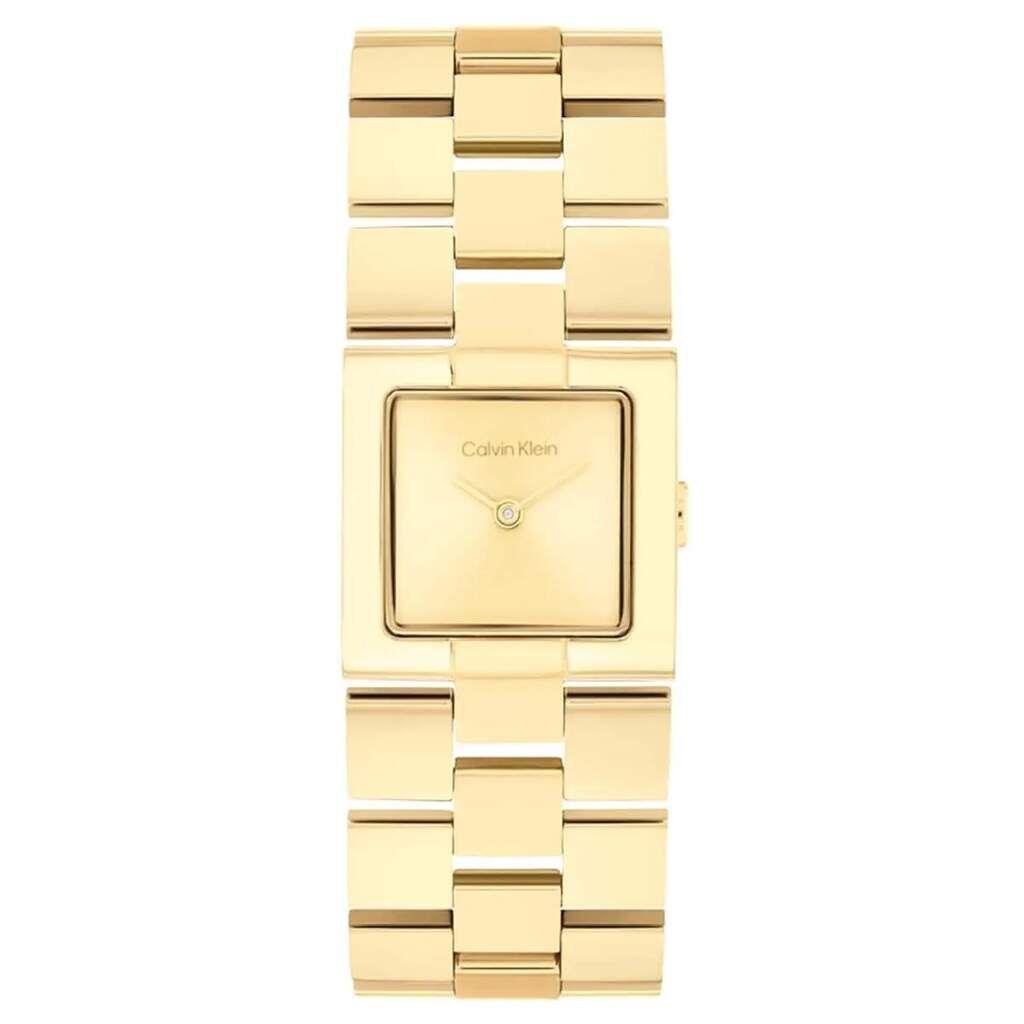 CALVIN KLEIN CK25100089 Quartz KADIN / KIZ KOL SAATİ