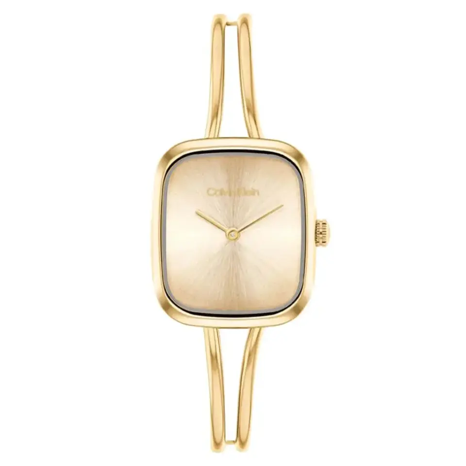 CALVIN KLEIN CK25100132 Quartz KADIN / KIZ KOL SAATİ