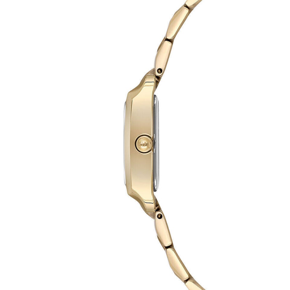 U.S. POLO ASSN. USPA2152-04 Pilli (Quartz) Kadın Kol Saati | Safir Saat